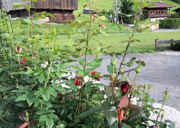 Kitz - Deluxe Chaletapartments