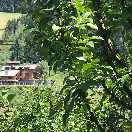 Kitz Сasa de vacaciones